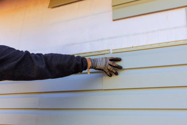 Best Stone Veneer Siding  in Three Way, TN